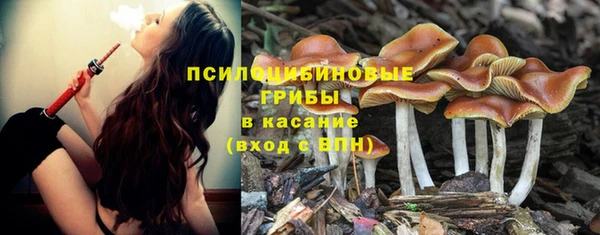 каннабис Покачи